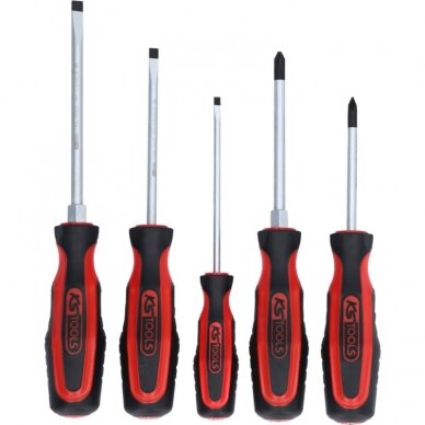 5 dalių atsuktuvų rinkinys KS TOOLS 159.0005 1