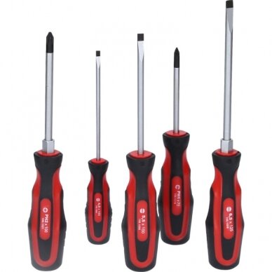 5 dalių atsuktuvų rinkinys KS TOOLS 159.0005 2