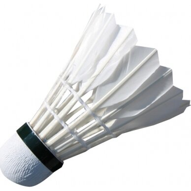 Badmintono plunksniukai Spartan Feather (6 vnt.) 1