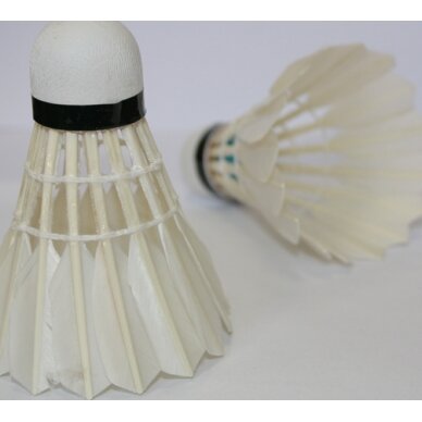 Badmintono plunksniukai Spartan Feather (6 vnt.) 2