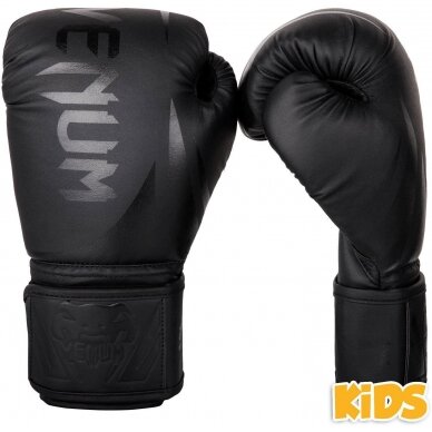 Bokso pirštinės Venum Challenger 2.0 Kids - juodos - 4 oz