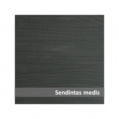 Dekoratyvinis medienos impregnantas Luxdecor Plius, 10L   2