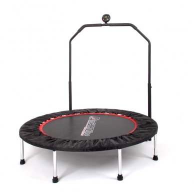 Fitneso batutas su rankena inSPORTline Profi Digital 100cm (iki100kg)