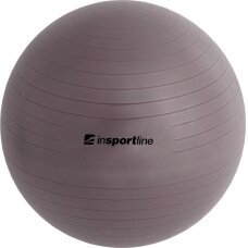 Gimnastikos kamuolys + pompa inSPORTline Top Ball 65cm