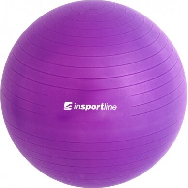 Gimnastikos kamuolys + pompa inSPORTline Top Ball 45cm 3