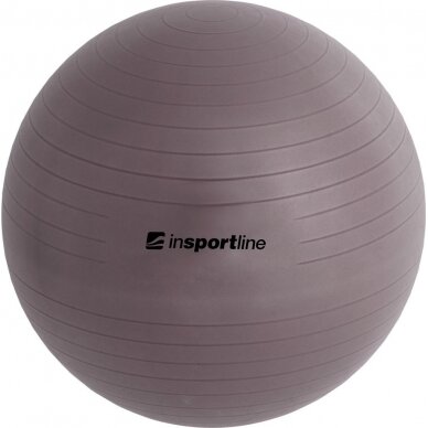 Gimnastikos kamuolys + pompa inSPORTline Top Ball 55 cm 2