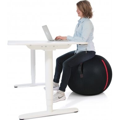 Kamuolys sėdėjimui Gymstick Office Ball 75cm 1