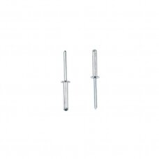 Kniedės MASTERFIX 1031 3,2x14mm, 1000vnt.