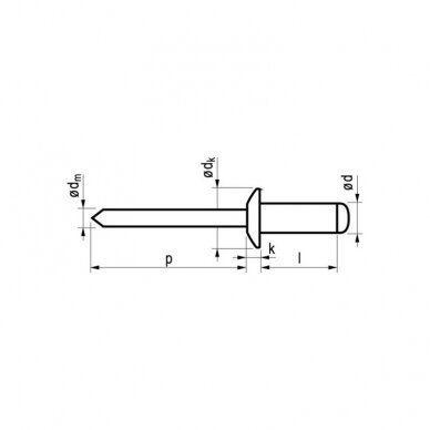 Kniedės MASTERFIX 1031 4,8x20mm, 1000vnt. 2