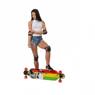 Longboardas Nils Extreme Wood Homeland Skeleton 10