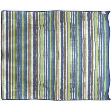 Pledas piknikams Cattara Spring – mėlynas-dryžuotas 150 x 150 cm 2