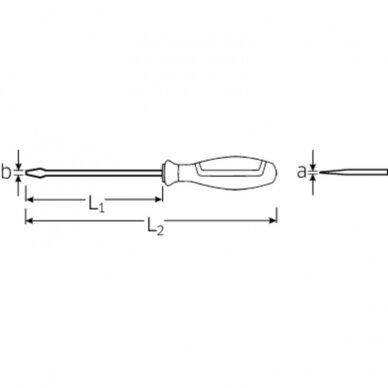 Plokščias atsuktuvas STAHLWILLE 4622SK N 2 1