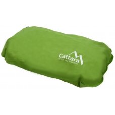Savaime prisipučianti pagalvė Cattara – žalia, 50 x 30 x 13 cm