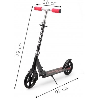 Sulankstomas paspirtukas Eco Toys, juodas 4