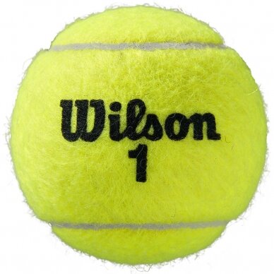 Teniso kamuoliukai Wilson Roland Garros All Court WRT116400, 4vnt. 1